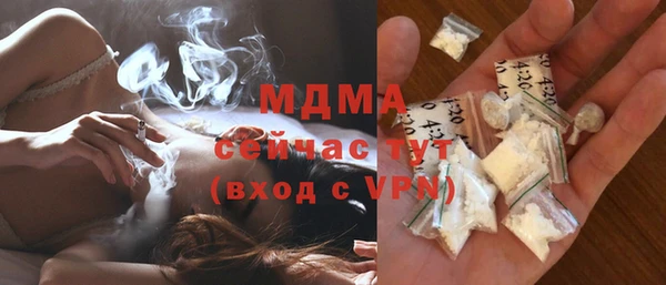 PSILOCYBIN Алзамай