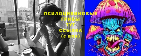 PSILOCYBIN Алзамай