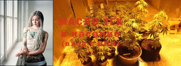 PSILOCYBIN Алзамай