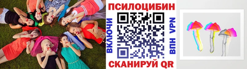 где купить наркоту  Кукмор  Псилоцибиновые грибы MAGIC MUSHROOMS 