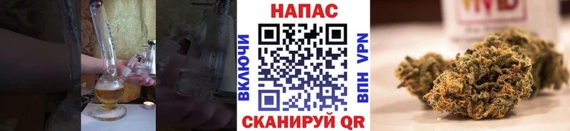 Бошки Шишки White Widow наркота Кукмор